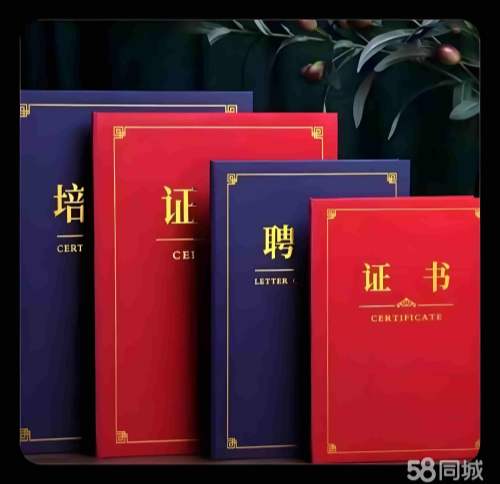 为什么说本地制作证件指南能帮你省下80%的跑腿时间